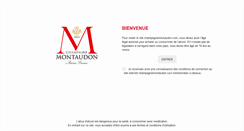 Desktop Screenshot of champagnemontaudon.com